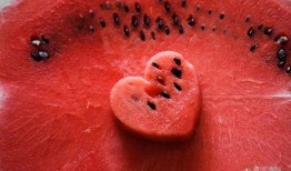 吃瓜娱乐社寄生虫,深度解析寄生虫背后的社会现象与人性探讨