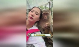 娱乐吃瓜酱盘点猴哥外号,娱乐吃瓜酱带你领略孙悟空的多面风采