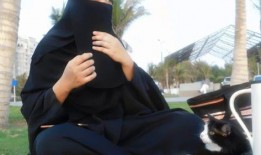 娱乐吃瓜君说七七视频,揭秘娱乐圈幕后故事，娱乐吃瓜君带你一探究竟