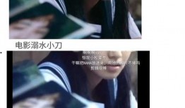 穿书娱乐圈吃瓜嗑糖