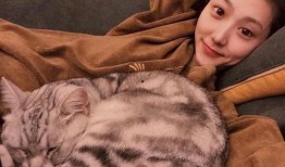 娱乐吃瓜君网红虐猫