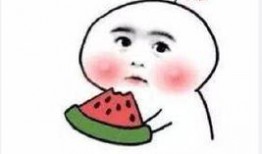 搞笑沙雕吃瓜娱乐圈小说,沙雕吃瓜，笑料横生