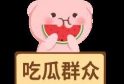 娱乐吃瓜酱素材视频,吃瓜酱带你领略幕后花絮与精彩瞬间