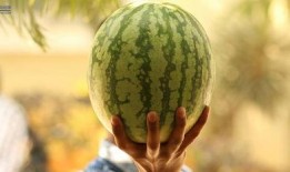 在哪吃娱乐圈的瓜