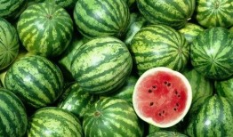 娱乐吃瓜酱800米,揭秘明星800米距离的“秘密”