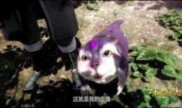 娱乐吃瓜君遛鸟大师是谁,揭秘娱乐吃瓜君背后的神秘人物