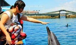 娱乐718.吃瓜三亚,揭秘718吃瓜狂欢背后的精彩故事