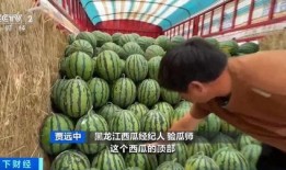 娱乐吃瓜酱爷爷花篮,揭秘娱乐圈背后的温馨故事