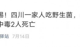 娱乐吃瓜酱野生字幕菌,揭秘幕后花絮，带你领略影视圈真实一面