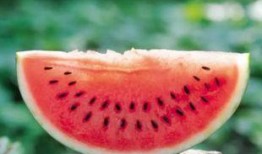 娱乐吃瓜酱紫金玫瑰,娱乐吃瓜界的璀璨明珠