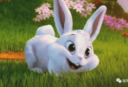 娱乐吃瓜酱 兔 圆 圆,揭秘兔圆圆的爆笑日常