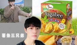 哪里可以吃娱乐圈瓜,揭秘明星们的幕后故事与幕后美食