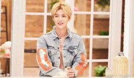 追星娱乐吃瓜酱,揭秘追星娱乐吃瓜酱背后的故事