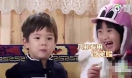 娱乐八卦吃瓜网,吃瓜网带你探秘明星幕后故事