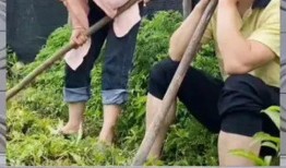 娱乐八卦吃瓜群众的