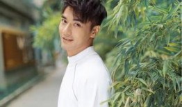 在娱乐圈吃瓜看戏的日子