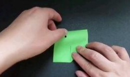 娱乐吃瓜君折耳