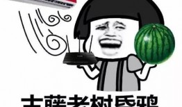 娱乐吃瓜君爆料真的假的,真相还是谣言？