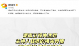 娱乐圈吃瓜的模板是什么,XX明星深夜密会神秘女子，背后真相令人震惊！