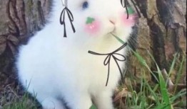 搞笑沙雕吃瓜娱乐图片