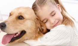 娱乐吃瓜酱送小狗