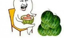 娱乐吃瓜的日常,揭秘明星幕后故事