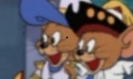 娱乐吃瓜猫咪视频,猫咪吃瓜视频大盘点