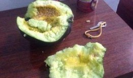 当前娱乐吃瓜,揭秘明星幕后故事